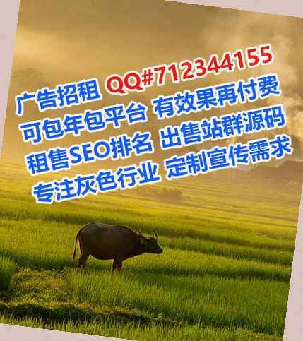 旬阳代母清洁服务事务所